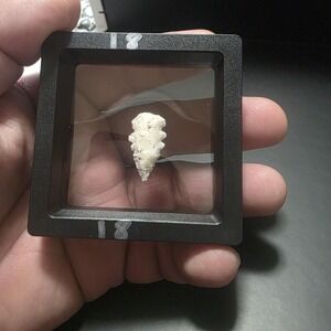 Primitive Stone Projectile Point – Mexico –‎ Display Artifact